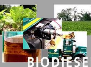 Elkezdődött a nemzetközi bioenergia hét Budapesten