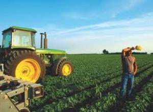 Biodiesel-ÉlelmiszerTermelés ellentét