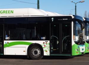 Megújuló energiák